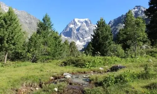 Tandem paraglider above the alpine meadows of Arolla in summer