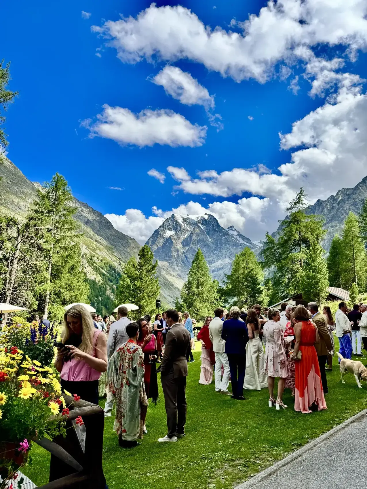 Cocktail de mariage dans le jardin de l'hôtel, face aux montagnes — Grand Hôtel & Kurhaus Arolla