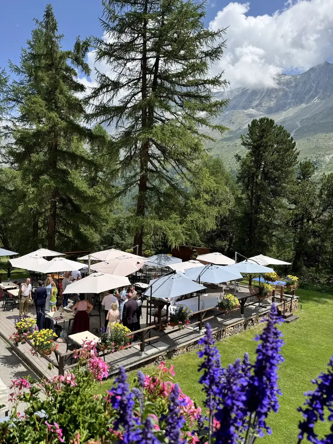 The terrace in summer, parasols and tables beneath centuries-old larches facing the peaks — Grand Hôtel & Kurhaus Arolla