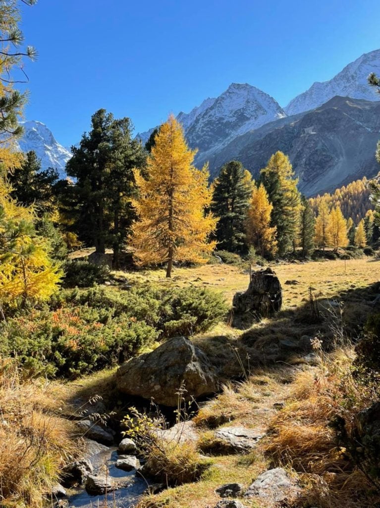 La Forêt Image