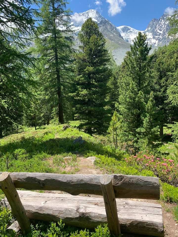 La Forêt Image